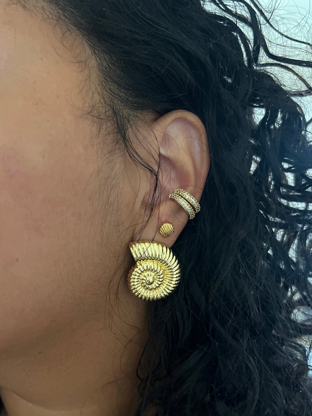 Shell studs